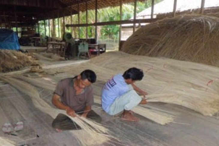Foto pekerja lampit saat sedang memilih rotan yang baik untuk bahan baku tikar lampit di sentra pembuatan Lampit Amuntai, Hulu Sungai Utara.