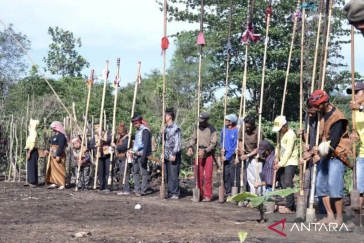 Pertunjukan Kurung-kurung dalam tradisi Manugal Banih Patawungan di Desa Harakit, Kecamatan Piani, Kabupaten Tapin, Kalimantan Selatan. Kurung-kurung dimainkan oleh masyarakat Dayak Meratus sebagai bagian dari rangkaian tradisi pertanian dan ritual menanam padi. Pertunjukan tersebut menunjukkan keberlanjutan fungsi Kurung-kurung sebagai media ekspresi budaya, kebersamaan masyarakat, serta pewarisan tradisi antargenerasi.